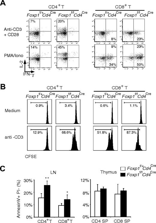 Figure 3. Peripheral Foxp1-deficient T cells respond like activated T cells and have increased apoptosis. (A) Total spleen cells from 4-week-old Foxp1f/+Cd4Cre and Foxp1f/fCd4Cre mice were stimulated with anti-CD3 plus anti-CD28 antibodies or PMA plus ionomycin for 4 hours and analyzed for IL-2 and IFN-γ production by intracellular staining. The data are gated on CD4+ T or CD8+ T cells, and are representative of various time points (weeks 4, 8, and 21) in at least 3 independent experiments. (B) Purified CD4+ T or CD8+ T cells from 4-week-old Foxp1f/+Cd4Cre and Foxp1f/fCd4Cre mice were labeled with CFSE and stimulated with 1 μg/mL anti-CD3 antibodies for 2 days. Cell proliferation was analyzed by measuring the CFSE profile. Data are representative of 2 independent experiments. (C) Thymic and lymph node cells from 8-week-old Foxp1f/+Cd4Cre and Foxp1f/fCd4Cre mice were analyzed for apoptosis by annexin V and PI staining. The bars represent the percentages of annexin V+ PI− cells in gated CD4+ or CD8+ T cells. Data represent average ± SD of the data of 8-week-old mice, n = 4. *P < .05; **P < .01.