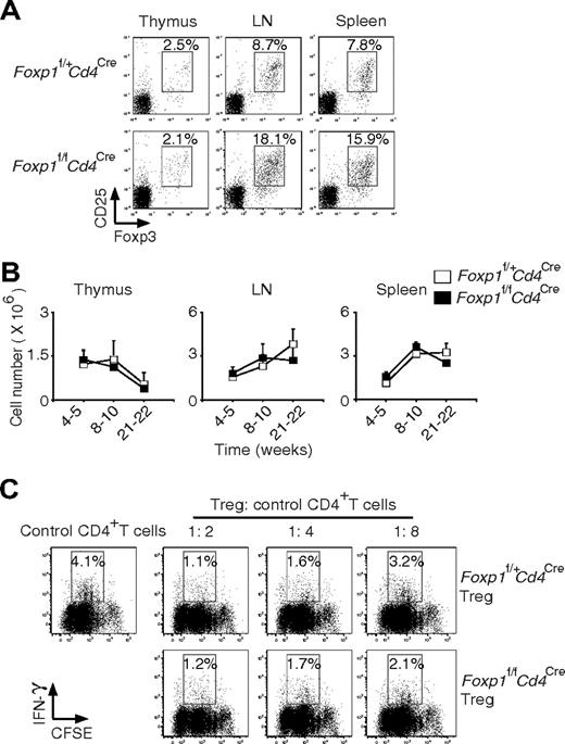 Figure 4. Foxp1-deficient Treg cells develop normally and are functional. (A) Staining of cell-surface CD4 and CD25 and intracellular Foxp3 in the thymuses, lymph nodes, and spleens of 10-week-old Foxp1f/+Cd4Cre and Foxp1f/fCd4Cre mice. The percentages of CD25+Foxp3+ cells in CD4+ T cells were shown. Data are representative of 2 independent experiments. (B) Total cell numbers of Treg cells in the thymuses, lymph nodes, and spleens of Foxp1f/+Cd4Cre and Foxp1f/fCd4Cre mice at different ages. Bars represent average ± SD, weeks 4-5: n = 5, weeks 8-10: n = 7, and weeks 21-22: n = 5. (C) In Treg cell suppression cocultures, CFSE-labeled control CD4+ T cells were incubated with various ratios of Treg cells from Foxp1f/+Cd4Cre or Foxp1f/fCd4Cre mice. The IFN-γ production by control CD4+ T cells was analyzed by intracellular staining. Data are representative of 2 independent experiments.