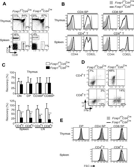 Figure 7. Foxp1-deficient T cells acquire an activated phenotype by a cell-autonomous mechanism. At 6 to 10 weeks after mixed bone marrow reconstitution and gating on congenic markers, the donor thymocytes and peripheral T cells in mixed chimeras were analyzed for (A) CD4 and CD8 profile; (B) expression of CD44 and CD62L; and (C) percentages of Foxp1+/+Cd4Cre and Foxp1f/fCd4Cre T cells recovered in the thymuses, spleens, and lymph nodes of the mixed chimeras. The thymic data are normalized to the ratios of Foxp1+/+Cd4Cre and Foxp1f/fCd4Cre B220+ cells in the bone marrow; the peripheral T-cell data are normalized to thymic T cells. Bars represent average ± SD. n = 10. **P < .01. (D) IL-2 and IFN-γ production in splenic CD4+ T and CD8+ T cells by intracellular staining after PMA plus ionomycin stimulation for 4 hours. (E) Cell size. All data are representative of 2 independent experiments.