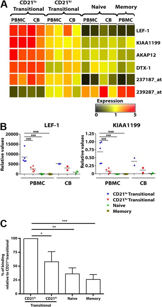 Figure 2. Differential gene expression in, and production of autoreactive IgM by, human B-cell subsets. (A) Microarray gene expression profiles of sort-purified CD21lo transitional, CD21hi transitional, naive, and memory B cells from PB and CB. The range of expression is represented by color shading from black (low expression) to red (high expression). Each column represents 2 pooled donors for the PBMCs and different groups of pooled donors for the CB (range of 2 or 3 different donors for each pooled data). (B) Differential expression of LEF1 and KIA1199 was confirmed by quantitative PCR. Each symbol represents an individual donor (PB, n = 5; CB, n = 2); horizontal lines represent the mean. No values are presented for memory B cells in CB as such cells are infrequent. *P < .05. ***P < .001. (C) B-cell subsets were purified from different healthy donors and cultured with CD40L/IL-21. After 12 days, the amounts of antinuclear IgM antibody were determined. The results are expressed as percentage binding relative to that of the CD21lo transitional B-cell subset (normalized to equal 100%), and are the mean ± SEM of 5 independent experiments. *P < .05; P < .01; ***P < .001.