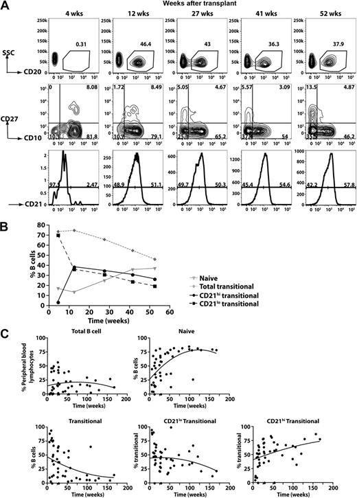 Figure 5. Kinetics of B-cell reconstitution after HSCT reveals the early appearance of CD21lo transitional B cells. (A) PBMCs were collected from patients at different times after HSCT and then stained with anti-CD20, -CD27, -CD10, and CD21 to determine the B-cell reconstitution profile. CD20+ B cells were gated (top panel) and divided into transitional, naive, and memory B-cell subsets based on differential expression of CD10 and CD27 (middle panel). The transitional B cells were further divided into CD21lo and CD21hi populations (bottom panel). The numbers indicate the percentage of total B cells (top panel) and the corresponding subsets (middle and bottom panels). (B) Summary of the reconstitution of naive and transitional B-cell subsets after HSCT in the patient presented (A) as a percentage of all B cells. (C) Combined B-cell reconstitution profile in 12 post-HSCT patients.