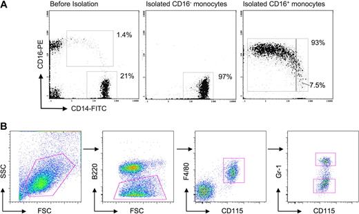 Figure 1. Purification of human and mouse monocyte subsets. (A) Dot plot on the left shows staining of PBMCs for human monocytes before isolation of CD16− and CD16+ subsets. Middle and right dot plots show representative samples of isolated human monocyte subsets, revealing purities of 93% or greater. The purified CD14+CD16++ cells contained 7.5% intermediate monocytes in this example. (B) In mouse whole blood leukocyte preparations, SSC-H voltage was set to exclude a majority of granulocytes and low SSC-H cells were gated (first dot plot). B220+ cells were excluded (second dot plot) and subsequent gating on CD115+ F4/80+ cells selectively identified monocytes (third dot plot). Ly-6C+ and Ly-6Clo monocyte subsets were identified by staining with anti–Gr-1 antibody, which recognizes both Ly-6G and Ly-6C (last dot plot). Only Ly-6C is expressed on monocytes. Ly-6C+/Gr-1+ and Ly-6Clo/Gr-1lo monocyte subset postsort purity was 95% to 97% (not shown).