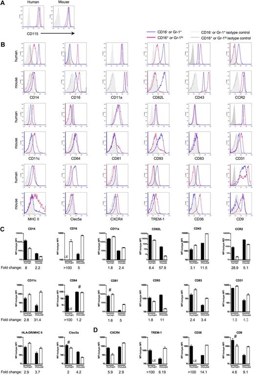 Figure 4. Human and mouse gene conservation is preserved at the protein level. Pairs of mAbs that recognize proteins encoded by human and mouse orthologs were used to stain human or mouse monocytes. Monocytes were analyzed using the gating strategy shown in Figure 1B. (A) Representative flow plots depict CD115 (M-CSF receptor/c-fms) surface expression on human and mouse monocytes. In human, these results were observed in at least 2 independent experiments and donors. CD115 was routinely used to identify mouse monocytes. (B) Representative flow plots and relevant isotype control staining of quantitative data depicted in panels C and D show differentially expressed human and mouse monocyte subset proteins. (C) Bar graphs portray the mean mean fluorescence intensity (MFI) above background (isotype control MFI was subtracted) and standard deviation of protein expression patterns that reinforce the analogy between CD16− human and Ly-6C+ mouse monocytes or CD16+ human and Ly-6Clo mouse monocytes. (D) Data show protein patterns of expression that are converse in relation to the proposed analogy between CD16− human and Ly-6C+ mouse monocytes or CD16+ human and Ly-6Clo mouse monocytes. (C-D) ■ represent CD16− human or Ly-6G+ mouse monocyte subsets and □ represent CD16+ human or Ly-6Glo mouse monocyte subsets. For proteins marked LE, some donors showed absence of expression, whereas others showed very low expression levels relative to isotype-matched control. Graphs show data from 4 to 12 human donors or 5 to 15 C57BL/6 mice. Quantification of mean fold change between the 2 subsets in each species is indicated below each graph. Unless marked with # (human CD81, Clec5a, CD9, mouse CD64), the difference in protein expression between the 2 subsets within each species is significant; P < .05 for human CD93 and mouse MHC II, and P < .02 for all remaining human and mouse proteins, Student t test.