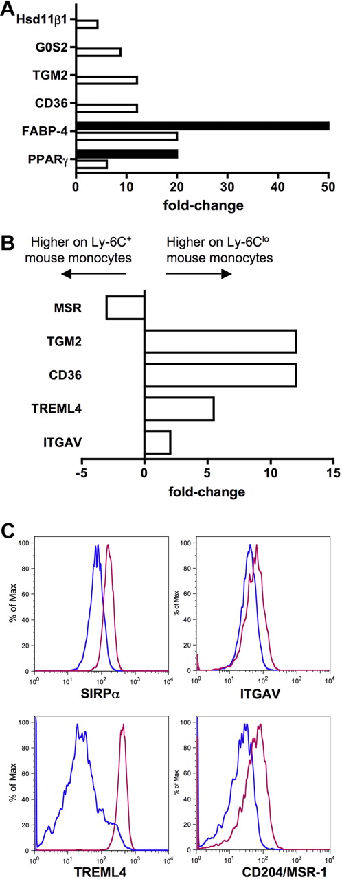 Figure 6. Ly-6Clo mouse monocytes express gene signatures not found in the human subset counterpart. (A) Bar graph depicts results from qPCR (■) and microarray (□) as relative fold change of PPARγ and PPARγ-regulated genes in mouse monocyte subsets. (B) Bar graph displays results from microarray as relative fold change of genes important for recognition and engulfment of apoptotic cells in mouse monocyte subsets. (C) Protein surface expression of selected proteins from panel B are depicted as representative flow plots. In bar graphs, negative values are more highly expressed on Ly-6C+ mouse monocytes and positive values are more highly expressed on Ly-6Clo monocytes.