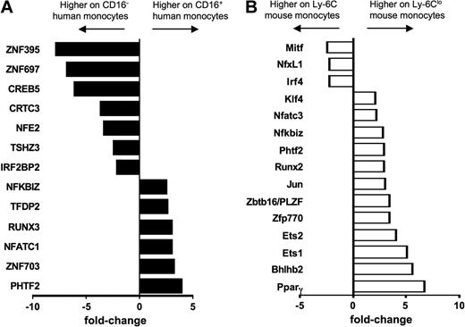 Figure 7. Transcription factors not shared between human and mouse monocyte subsets. Bar graph depicts results from microarray as relative fold change of transcriptional regulators in (A) human and (B) mouse monocyte subsets, where negative values are more highly expressed on the CD16− human or Ly-6C+ mouse monocyte subset and positive values are more highly expressed on the CD16+ human or Ly-6Clo mouse subset.