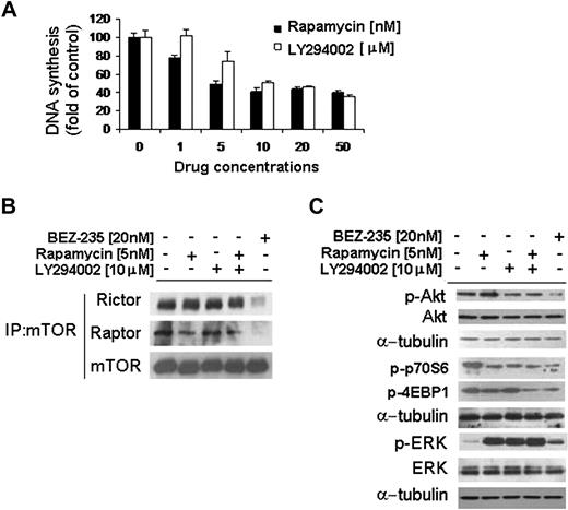 Figure 3. NVP-BEZ235 targets both rictor and raptor. (A) Thymidine uptake assay. BCWM.1 cells were cultured with rapamycin and LY294002 for 48 hours. (B-C) BCWM.1 cells were cultured with NVP-BEZ235 (20nM), rapamycin (5nM), LY294002 (10μM), or the combination of rapamycin and LY294002 for 6 hours. (B) Whole-cell lysates were subjected to immunoprecipitation (IP) using a mTOR antibody and Western blotting using anti-mTOR, anti-rictor, and anti-raptor antibodies. (C) Whole-cell lysates were subjected to Western blot using anti–p-Akt, anti-Akt, anti–p-p70S6, anti–p-4EBP1, anti–p-ERK, anti-ERK, and anti–α-tubulin antibodies.