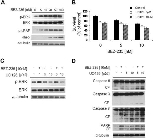 Figure 6. NVP-BEZ235 up-regulates the MEK/ERK pathway, and ERK inihibition increases NVP-BEZ235–induced cytotoxicity. (A) BCWM.1 cells were cultured with NVP-BEZ235 (5-100nM) for 6 hours. Whole-cell lysates were subjected to Western blotting using anti–p-ERK, anti-ERK1/2, anti–p-c-Raf, anti-Rheb, and α-tubulin antibodies. (B) BCWM.1 cells were cultured for 48 hours with NVP-BEZ235 (5nM, 10nM) in the absence or presence of MEK1/2 inhibitor U0126 (5μM, 10μM). Cytotoxicity was assessed by the MTT assay. Data represent mean (± SD) of triplicate experiments. (C) BCWM.1 cells were cultured with NVP-BEZ235 (5nM, 10nM) in the absence or presence of MEK1/2 inhibitor U0126 (5μM, 10μM) for 6 hours. Whole-cell lysates were subjected to Western blotting using anti–p-ERK, anti-ERK1/2, and α-tubulin antibodies. (D) BCWM.1 cells were cultured with NVP-BEZ235 (5nM, 10nM) in the absence or presence of MEK1/2 inhibitor U0126 (5μM, 10μM) for 16 hours. Whole-cell lysates were subjected to Western blotting using anti–caspase-9, anti–caspase-3, anti–caspase-8, anti-PARP, and anti–α-tubulin antibodies.