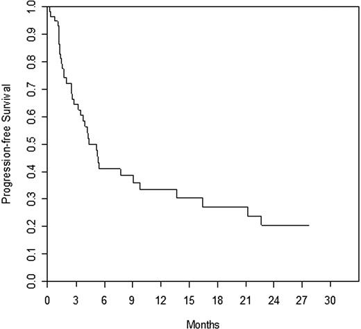 Figure 2. Progression-free survival.