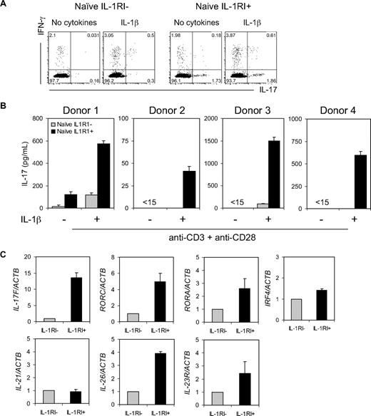 Figure 6. IL-1RI+ naive CD4+ T cells produce higher levels of IL-17 in response to a combination of IL-1β and TCR triggering. (A) Flow cytometric analysis of intracellular IL-17 and IFN-γ in sorted IL-1RI+ and IL-1RI− naive CD4+ T cells that were stimulated for 7 days in serum-free media with anti-CD3/anti-CD28 antibody-coated beads in the presence or absence of IL-1β followed by 16 hours of PMA and ionomycin stimulation. (B) ELISA of IL-17 production from sorted IL-1RI+ and IL-RI− naive CD4+ T cells that were stimulated as described in panel A. (C) RT-PCR analysis of Th17-related genes in sorted IL-1RI+ and IL-1RI− naive CD4+ T cells that were stimulated as in panel A. Results are relative to the number of transcripts encoding β-actin. Data represent 4 separate experiments (A, 1 experiment per donor) or are from 4 (B) and 3 (C) donors; error bars, mean ± SD (B) or ± SEM (C) of triplicates.