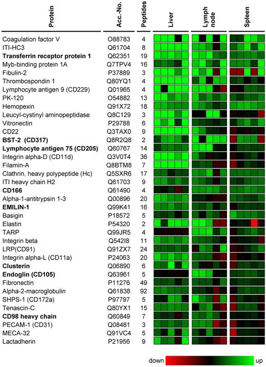 Figure 2. Selection of proteins overexpressed at all 3 lymphoma localizations. A selection of proteins that were consistently found up-regulated at nodal and extranodal lymphoma localizations is shown. Protein abundances in 5 lymphoma samples are displayed for each organ/lymphoma pair with a color code related to the corresponding DeepQuanTR score (maximum = e6-fold up-regulation; minimum =e6-fold down-regulation). Proteins up-regulated in comparison to the average protein expression in the corresponding normal host organ are displayed in green, down-regulated proteins in red. Proteins are sorted in descending order according to the average regulation score calculated from all 3 localizations. Antigens selected for further investigation are marked in bold.