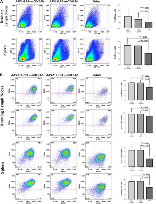 Figure 3. Anti-CD40 antibody and LPS recruit and activate DCs in the draining lymph nodes and spleen. Eight- to 10-week-old C57BL/6 mice (n = 4 per cohorts) received intramuscular injection of 1011 vg of AAV1-hFIX plus 100 μg of LPS plus 100 μg of anti-CD40 antibody (in the footpad) or 6 × 1010 vg of AAV2-hFIX plus 100 μg of LPS plus 100 μg of anti-CD40 antibody (in the footpad) on the same day. Control mice received PBS. Cells from the draining lymph nodes and spleen were collected after 24 hours and stained with the appropriate antibodies, and flow cytometry analysis was performed, as described. (A) Increase in DC numbers in draining lymph nodes and spleen after administration of LPS and anti-CD40 antibody in comparison with naive mice. The dot plots show the expression of CD11c on cells. Numbers indicate the percentage of CD11c+ cells among the total live cells in either the draining lymph nodes or the spleen. (B) Activation of DCs in draining lymph nodes and spleen after administration of LPS and anti-CD40 antibody. The dot plots show the expression of either MHCII and CD80 or MHCII and CD86 on cells gated with CD11c. Numbers indicate the percentage of MHCII+CD80+ or MHCII+CD86+ among the CD11c+ population. Data shown are mean ± SEM. A representative of 2 independent experiments is shown. (C) Cytokine profile of splenocytes 24 hours after administration of LPS and anti-CD40 antibody. The histograms show the expression of IL-12 (top panel), IL-6 (middle panel), and IL-10 (bottom panel) on cells gated with CD11c. Numbers indicate the percentage of CD11c+ cells that are expressing the particular cytokine. Data shown are mean ± SEM, n = 4 for each cohort. A representative of 2 independent experiments is shown.
