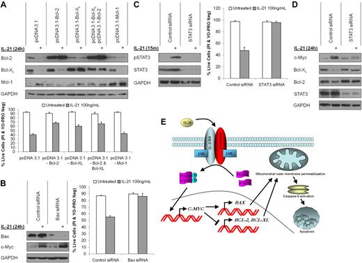 Figure 7. IL-21–induced apoptosis is dependent on STAT-3 and Bax and rescued by Bcl-2 and Bcl-XL. (A) RC-K8 cells were transfected with PCDNA3.1–BCL-XL, –BCL-2, –MCL-1, or empty vector. Seventy-two hours after transfection, cells were treated with IL-21 (100 ng/mL). After 24 hours, cellular proteins from untreated and IL-21–treated cells were resolved by SDS-PAGE and immunoblotted for Bcl-XL, Bcl-2, Mcl-1, or GAPDH. Cell viability was assayed by YO-PRO/PI staining after 48 hours of IL-21 treatment. (B) RC-K8 cells were transfected with siRNA targeting Bax or control siRNA. Twenty-four hours after transfection, cells were treated with IL-21 (100 ng/mL). Cellular proteins from untreated and IL-21–treated cells were resolved by SDS-PAGE and immunoblotted for Bax and c-Myc at 24 hours after treatment. Immunoblotting for GAPDH served as a loading control. Cell viability was assayed by YO-PRO/PI staining after 48 hours of IL-21 treatment. (C-D) RC-K8 cells were transfected with siRNA targeting STAT3 or control siRNA. Seventy-two hours after transfection, cells were treated with IL-21 (100 ng/mL). Cellular proteins from untreated and IL-21–treated cells were resolved by SDS-PAGE and immunoblotted for p-STAT3 and STAT3 at 15 minutes after treatment (C) and for c-Myc, Bcl-XL, Bcl-2, and STAT3 at 24 hours after treatment (D). Cell viability was assayed by YO-PRO/PI staining after 48 hours of IL-21 treatment (C). The results in panels A through D are representative of 3 independent experiments. (E) A model of IL-21–induced apoptosis in DLBCL. IL-21 binding to IL-21Rα results in Jak activation and subsequent phosphorylation and activation of STAT3. Homodimerized STAT3 enters the nucleus and activates transcription of c-Myc. c-Myc protein promotes the transcription of Bax and suppresses Bcl-2 and Bcl-XL, thus disrupting the Bcl-2 rheostat within the cells and triggering mitochondrial outer membrane permeabilization, caspase-9 activation, and apoptosis.