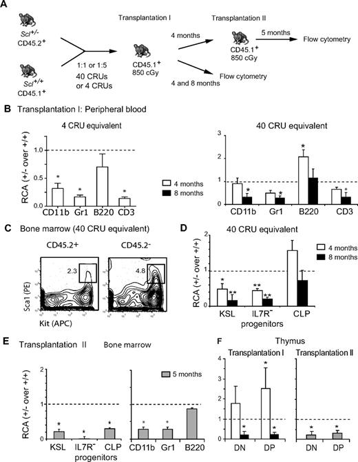 Figure 3. Scl is required for HSC long-term competence. (A) Diagram of the serial competitive transplantation strategy. Scl+/− bone marrow cells (CD45.2+) were mixed with Scl+/+ competitor bone marrow cells (CD45.1+) at 1:1 or 1:5 ratio, and cells were transplanted in congenic irradiated hosts (CD45.1+) at 2 Scl+/− cell equivalents of 4 CRU or 40 CRU. (B-F) Data illustrate results for the 1:1 ratio at 4 CRU cell equivalents (B left panel) and 40 CRU cell equivalents (B-F). The RCA of Scl+/− cells was calculated and shown as the median ± SEM (*P ≤ .05). (B) Reconstitution by Scl+/− (CD45.2+) and Scl+/+ (CD45.2−) cells after the first transplantation at 4 or 40 CRU equivalents. Reconstitution at 4 and 8 months after transplantation was assessed by flow cytometric analysis of myeloid (CD11b, Gr1) and lymphoid (B220, CD3) cells in the peripheral blood. Data are representative of 2 independent experiments with groups of 5 or 7 mice each. Input Scl+/− cells before transplantation were 45.7% and 54.5%, respectively. (C-D) Analysis of populations enriched in stem cells and progenitors in the bone marrow. A representative analysis at 4 months of the KSL population is shown (C). The RCA of Scl+/− cells within the HSCs (Kit+Sca1+Lin−) population and myeloid (Kit+Sca1−Lin−IL7R−) as well as lymphoid (CLP) progenitor populations was assessed 4 and 8 months after transplantation (D) (**P ≤ .001). (E) Reconstitution by Scl+/− cells in the HSC population (KSL) and myeloid and as well as lymphoid progenitor populations (E left panel) or the mature myeloid and lymphoid populations (E right panel) 5 months after secondary transplantation. (F) Thymic reconstitution in primary and secondary transplantation within the CD4−CD8− (DN) and CD4+CD8+ (DP) populations is shown. Comparable results were observed with the CD4+ or CD8+ populations. All populations shown are Thy1+.