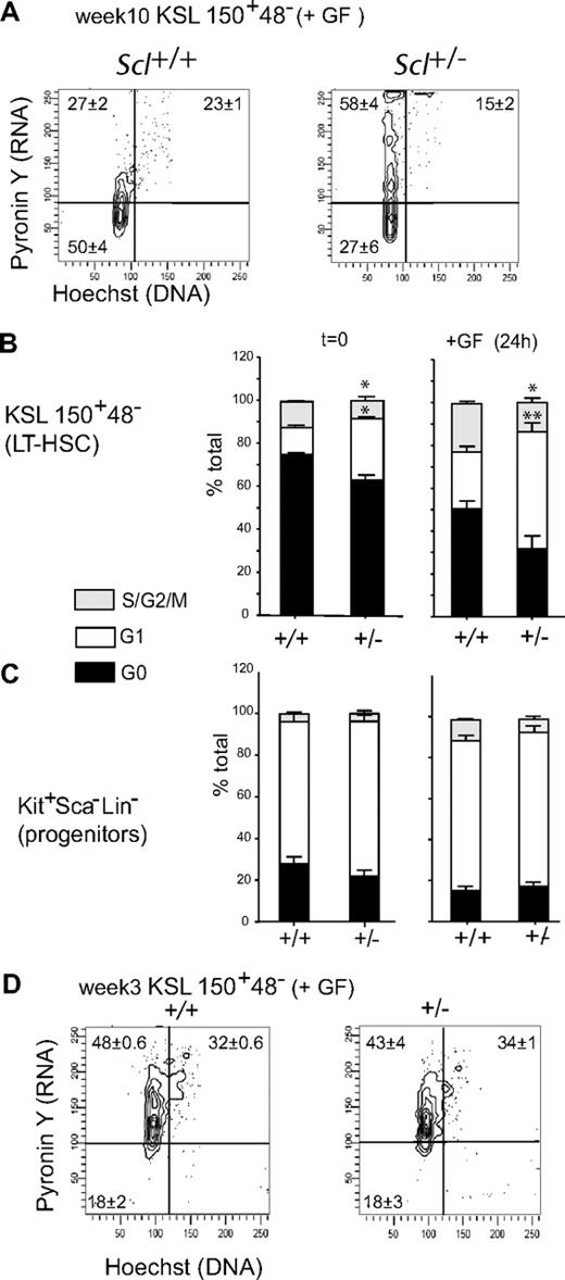 Figure 6. Scl gene dosage and LT-HSC cell cycle in response to cytokine stimulation. (A) Scl+/+ and Scl+/− lineage-depleted bone marrow cells harvested from adult mice were stimulated with Steel Factor, IL-11, and IL-6 for 24 hours before cell-cycle analysis. The percentages shown in each quadrant are the mean ± SEM of 3 experiments with representative contour plots. (B-C) Stacked columns represent the relative proportion of cells in G0, G1, and S-G2M within LT-HSCs (B) or progenitors (C) from Scl+/+ and Scl+/− mice (mean ± SEM of 3 experiments). The left panels represent cells at steady state before culture; the right panels represent growth factor (GF) stimulated cells after 24 hours in culture (*P = .02-.03; **P = .005). (D) Cell-cycle analysis of LT-HSCs from 3-week-old mice after 24 hours of cytokine stimulation. The percentages shown in each quadrant are the mean ± SEM of 3 experiments with representative contour plots.