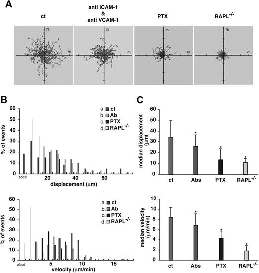 Figure 5. Contribution of Gi, integrin ligands, and RAPL to cell migration within the LN. (A) Lymphocyte movement in B-cell follicles observed by intravital microscopy of inguinal LN. Representative tracks of wild-type lymphocytes in recipient mice injected with control rat IgG (ct) (green), anti–ICAM-1 and anti–VCAM-1 mAbs (red), or pertussis toxin (blue). Representative tracks of RAPL-deficient lymphocytes (yellow) in untreated, normal recipient mice are shown. (B) Displacement and velocity profiles of wild-type and RAPL−/− lymphocytes in recipient mice shown in panel A. Fifty-nine cells were tracked for 10 minutes for each dataset. The velocity data were obtained from movements measured every 30 seconds. (C) Median displacement and velocity of populations shown in panel B. Statistical significance was determined by a t test. *P < .001 compared with lymphocytes in rat IgG-administered recipient mice.