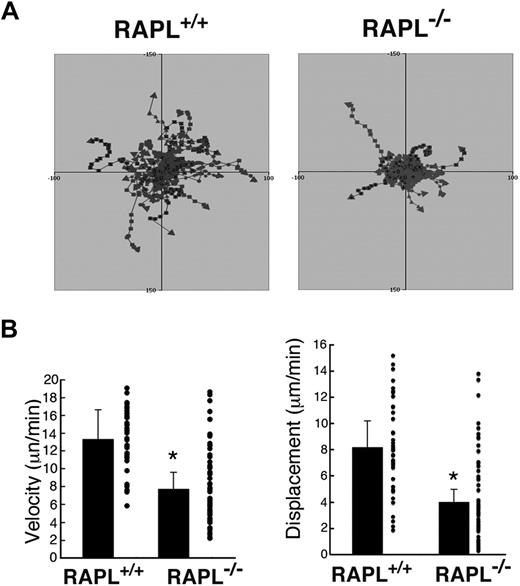 Figure 6. Interstitial migration of wild-type and RAPL-deficient T cells analyzed by intravital 2-photon microscopy. (A) Representative tracks of wild-type T cells (red) and RAPL−/− T cells (green) in popliteal LN. Each line represents a single T-cell track. (B) Displacement and velocity profiles of wild-type T cells and RAPL-deficient T cells. Forty cells of each type were tracked for 30 minutes for each dataset. *P < .001, compared with wild-type cells.