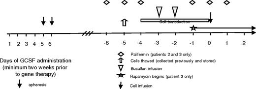 Figure 1. Study design. Patients' cells were collected and stored on a separate protocol. Day 0 indicates the day of cell infusion. Cells were thawed on day −5, and transduction was begun on day −4. The busulfan was infused on days −3 and −2. Patients 2 and 3 received palifermin given on days −6 to −4 and −1 to 1. Patient 3 also started rapamycin on day −1 and continued it for 30 days after transplantation.