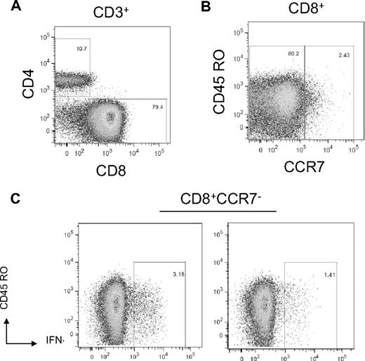 Figure 3. Host CD8+ T cells reactive with cord blood alloantigens are present in 9 patients rejecting double CBT. Day 26 posttransplantation PBMCs were stimulated against LCLs generated from the transplanted cord units. (A) The majority of CD3+ cells are CD8+. (B) The CD8+ cells express primarily effector/effector memory phenotype (CD45RO+/−CCR7−). (C) Host CD8+CD45RO+/−CCR7− cells stain positive for intracellular IFN-γ staining after stimulation with each of the transplanted cord unit.