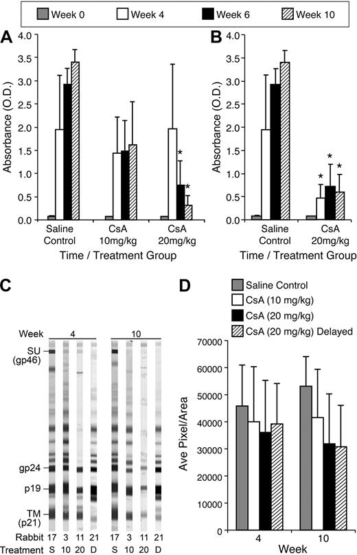 Figure 4. CsA treatment suppresses HTLV-1 antibody responses in a dose-dependent manner. We used a HTLV-1 ELISA to determine the level of HTLV-1 antibodies in the plasma of rabbits after infection. (A) The 20 mg/kg CsA–treated rabbits displayed statistically significant (P < .001) decreases 6 and 10 weeks after infection. All CsA-treated rabbits displayed decreases in HTLV-1 antibodies at 4, 6, and 10 weeks after infection compared with control rabbits. (B) The 20 mg/kg CsA–delayed treatment rabbits had statistically significant decreases in HTLV-1 antibody titers 4, 6, and 10 weeks after infection compared with control rabbits (P < .001). (C) CsA treatment leads to a decreased antibody response to HTLV-1 Env SU. Western blot analysis was used to determine whether CsA treatment leads to a decrease in HTLV-1 antibodies directed against Env SU, transmembrane, and p19. (D) Densitometry was used to numerate the pixels in the bands. Rabbits treated with 20 mg/kg CsA before and after infection both had significant decreases in antibodies directed against HTLV-1 Env SU 10 weeks after infection.