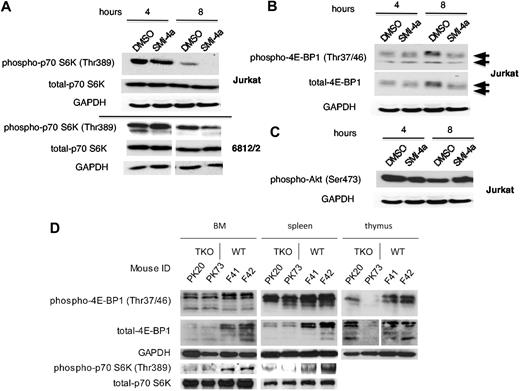 Figure 4. SMI-4a treatment inhibits the phosphorylation of TORC1 substrates. (A) Jurkat or 6812/2 cells were incubated with 10μM SMI-4a in the absence of serum for the indicated time periods. Extracts of these cells were Western blotted with antibodies to phospho-p70 S6K (Thr389), total p70 S6K, and GAPDH. (B) Jurkat cells were treated with SMI-4a for varied periods of time and extracts were probed with antibodies to phospho–4E-BP1 (Thr37/46), total 4E-BP1, and GAPDH. (C) Identical extracts as in panel B were probed with antibodies to phospho-Akt (Ser473) and GAPDH. (D) Hematopoietic tissue was harvested from TKO mice and WT-FVB mice, and subjected to Western blots using antibodies to phospho–4E-BP1, total 4E-BP1, phospho–p70 S6K, total p70 S6K, and GAPDH as a loading control.