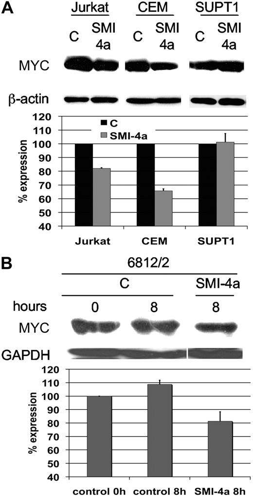 Figure 5. SMI-4a treatment of pre–T-LBL down-regulates the level of MYC protein. (A) Human pre–T-LBL cell lines, Jurkat, CEM, and SUPT1 were incubated in the absence of serum with DMSO control (C) or 10μM SMI-4a for 24 hours. The extracts of these cells were evaluated by Western blotting for the expression of MYC. The films were scanned and the levels of MYC protein determined by National Institutes of Health ImageJ software normalized to β-actin expression. The percentage of expression is the ratio of MYC in SMI-4a–treated cells compared with untreated control. The experiment was carried out in triplicate and the error bars show the SD from the mean. (B) The level of MYC after SMI-4a treatment of murine 6812/2 cells was evaluated in an identical fashion as in panel A. The percentage of expression is the ratio of each time point over the control at the 0 time point.