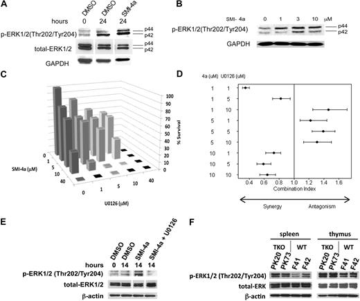 Figure 6. ERK1/2 phosphorylation is increased by SMI-4a treatment. (A) 6812/2 cells were incubated with 10μM SMI-4a in the absence of serum for 24 hours and extracts of these cells subjected to Western blotting with antibodies to p-ERK1/2 (Thr202/Tyr204), total ERK, and GAPDH. (B) Jurkat cells were incubated with the indicated concentrations of SMI-4a in the serum-free media for 8 hours. Extracts were then probed as in panel A. (C) 6812/2 cells were incubated with varying amounts of SMI-4a and U0126 in serum-free media for 24 hours. Viable cells were then identified by trypan blue exclusion and the percentage of survival compared with the untreated control was plotted. (D) Based on data in panel C, Chou and Talalay's combination index for mutually exclusive agents was constructed across combined doses for SMI-4a and U0126. Estimated indices (●) and corresponding 95% credible intervals (horizontal lines) are shown. The combination index is not estimable for situations in which the kill rates are 100%. Therefore, no index is provided for any combination in which at least one dose was 40μM. (E) 6812/2 cells were treated with DMSO as a control or 10μM SMI-4a with or without 10μM U0126 for 14 hours. Extracts were probed as described in panel A. (F) The spleen and thymus studied in Figure 4D were subjected to Western blotting with antibodies to phospho-ERK1/2, total ERK, and β-actin, as a control.