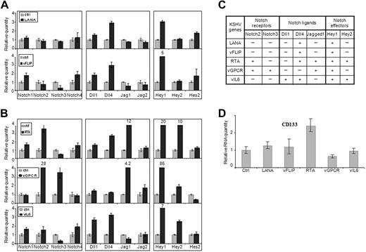 Figure 3. Induction of Notch pathway genes by KSHV proteins. The 293T cells were transfected with expression vectors for latency phase genes (LANA or vFLIP; A) and lytic phase genes (RTA, vGPCR, or vIL-6; B). Empty pcDNA3 vector transfection was used as control. Expression of Notch receptors (left panel), Notch ligands (middle panel), and Notch pathway downstream genes (right panel) was analyzed by quantitative RT-PCR 72 hours after transfection. (C) The overall change of expression of Notch pathway genes after transfection was summarized. − indicates without significant induction; and +, with significant induction. (D) Expression of endothelial progenitor marker CD133 was analyzed by quantitative RT-PCR as in panels A and B.