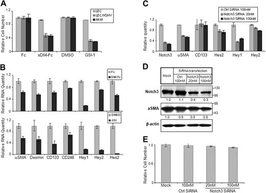 Figure 5. Notch signaling in KS cell survival and mural cell characteristic. (A) LEC, LEC/KSHV, and KS-IMM cells were treated by sDll4-Fc (4 μg/mL) or GSI-1 (1μM) for 48 hours. Purified human Fc fragment (4 μg/mL) and DMSO were used as control for sDll4-Fc and GSI-1, respectively. Cell viability was analyzed by MTT assay and normalized to control. (B) Cells were treated in the same way as in panel A but were harvested and subjected to quantitative RT-PCR. Expression of Notch pathway downstream genes was analyzed. (C) LEC/KSHV cells were transfected by Notch3 siRNA (20nM or 100nM) for 72 hours. Nonsilencing siRNA from QIAGEN (100 nM) was used as negative control. Cells were harvested, and Notch3 RNA level change after siRNA transfection was analyzed by quantitative RT-PCR. Expression level changes of putative Notch3 downstream genes were also analyzed. (D) Cells were treated in the way same as in panel C and subjected to Western blotting for Notch3 and α-SMA. The relative protein level of Notch3 and α-SMA was quantitated by ImageJ and normalized to β-actin level (E) Cells were treated as in panel C and subjected to MTT assay. Cell viability was normalized to mock transfection.