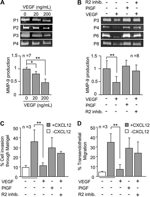 Figure 1. VEGF down-regulates MMP-9 and inhibits B-CLL cell migration. (A) A total of 3 × 106 B-CLL cells were incubated in RPMI/0.1% fetal bovine serum with the indicated concentrations of VEGF. After 24 hours, the conditioned media was concentrated and analyzed by gelatin zymography. MMP-9 levels on untreated cells were normalized to 1, and average values (n = 7) are shown. (B) B-CLL cells (n = 8) were untreated or treated with 200 ng/mL VEGF or PlGF, and in the presence or absence of 5μM VEGFR2 inhibitor I (R2 inhib.). After 24 hours, MMP-9 was analyzed and quantitated as explained. (C-D) A total of 5 × 105 B-CLL cells (n = 3) were untreated or treated with VEGF or PlGF for 30 minutes and added to Transwell filters (5 μm pore size) coated with Matrigel (A) or activated HUVECs (B) in the presence of the cytokines. Some cells were also pretreated with 5μM VEGFR2 inhibitor I as indicated. CXCL12 (150 ng/mL) was added to the medium in the bottom chamber, except for the control. After 24 hours, migrated cells were counted by flow cytometry. Expression of CD19 on transmigrated cells (> 90%) was also analyzed by flow cytometry. Values are the percentage of total cells added. Bars represent SD. *P ≤ .05, **P ≤ .01, calculated by the 2-tailed Student t test.