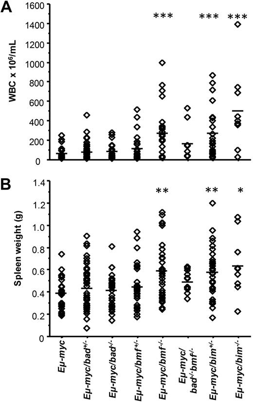 Figure 2. Loss of bmf enhances the severity of Eμ-myc lymphomas. (A) Numbers of total leukocytes in the blood of moribund mice of the indicated genotypes. The leukocyte counts were significantly greater in bmf−/− Eμ-myc mice than in wt Eμ-myc mice (mean leukocyte count in Eμ-myc/bmf−/− mice was 263 ± 251 × 106/mL vs 58 ± 67 × 106/mL in Eμ-myc mice). Diamonds represent individual blood count of mice and bars the corresponding means. (B) Spleen weights of moribund mice of the indicated genotypes. Loss of bmf but not loss of bad lead to a significant increase in spleen size in moribund mice (mean spleen weight 0.599 ± 0.253 g in Eμ-myc/bmf−/− vs 0.395 ± 0.140 g in Eμ-myc or 0.428 ± 0.160 g in Eμ-myc/bad−/−). Diamonds represent individual spleen weights in mice of the indicated genotypes with bars indicating the corresponding means. *P < .01, **P < .001, ***P < .001 compared with Eμ-myc.