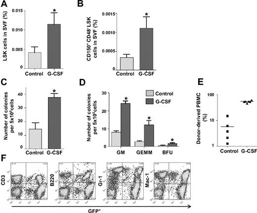 Figure 6. HSPCs in the SVF increased upon promotion of HSPC mobilization from the BM. (A-B) Comparisons of the percentage of LSK cells and CD150+CD48−LSK cells in the SVF treated with control buffer (control) or cyclophosphamide/G-CSF (G-CSF). Bars indicate mean ± SD (n = 4 per each group). *P < .05 vs control. (C-D) CFC assay of 5 × 105 SVF cells treated with control or G-CSF. The number of total colonies and each type of colony was counted. Bars represent mean ± SD (n = 4). *P < .05 vs control. (E) Percentage of donor-derived GFP+ cells in PBMCs was analyzed by flow cytometry. Bars represent mean, and each ■ (control, n = 5) and ▲ (G-CSF, n = 6) represents 1 sample. (F) Representative flow cytometric profiles show long-term multilineage reconstitution in the blood of primary recipients that underwent transplantation with G-CSF–treated SVF.