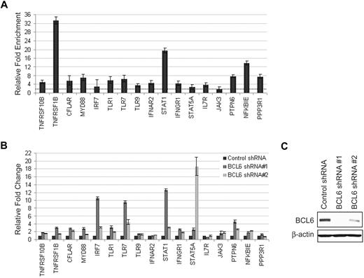 Figure 4. BCL6 targets involved in multiple pathways are responsive to BCL6 silencing. (A) Seventeen targets representative of the major pathways affected by BCL6 were analyzed in the P3HR1 cell line. The BCL6-bound promoter region identified by ChIP-on-chip in GC B cells was tested for direct binding in P3HR1 by qChIP. All promoters, except JAK3, showed enrichment of at least 2-fold in the BCL6 immunoprecipitated chromatin fraction. (B) BCL6 silencing was obtained by the use of 2 shRNAs delivered by lentiviral infection in P3HR1. Quantitative reverse-transcription PCR analysis showed that the expression of 11 of 17 targets increased more than 2-fold upon BCL6 silencing by at least one of the shRNA. The target induction appeared consistent with the level of BCL6 silencing in all cases, except STAT5A. (C) BCL6 protein expression as detected by immunoblotting upon infection with control and BCL6 shRNAs.