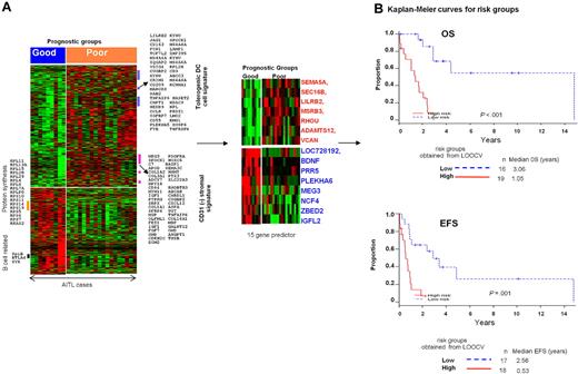 Figure 4. Evaluation of a prognosticator in AITL. (A) Differentially expressed genes between the good (≥ 3 years OS) and poor (< 3 years OS) prognostic groups of AITL. (B) Kaplan-Meier plots for AITL risk groups using the 15-gene predictor.