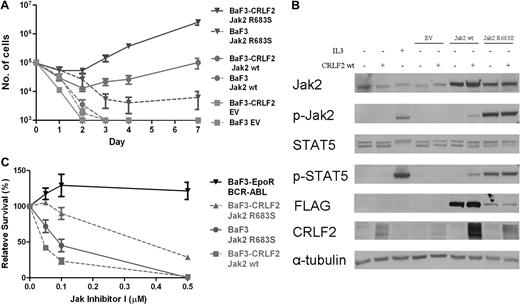 Figure 5. Functional significance of CRLF2 expression. (A) Cytokine withdrawal assay of BaF3 and BaF3-CRLF2 cells infected with either empty vector (EV), mouse FLAG-Jak2 wild-type (wt), or mouse FLAG-Jak2 R683S. Error bars represent SE. (B) Constitutive activation of the Jak/Stat5 pathway in BaF3 and BaF3-CRLF2 cells expressing mouse FLAG-Jak2 wild-type (wt) or R683S, after 5 hours of cytokine deprivation. IL3+ indicates cells harvested after 5 hours of interleukin-3 deprivation followed by 15 minutes of interleukin-3 stimulation. (C) Effect of JAK inhibitor I on growth of BaF3 cells expressing Jak2 R683S and BaF3-CRLF2 cells expressing either wt Jak2 or Jak2 R683S.