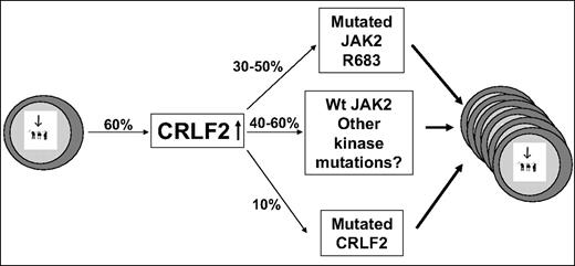 Figure 7. CRLF2 in DS-ALL: a model. Increased CRLF2 expression caused by genomic aberration is followed by progression event consisting of activating mutations in CRLF2, in JAK2, or other alterations in yet unidentified kinases. The percentages in the figure are approximations based on combination of the data in our paper and in the paper by Russell et al.13