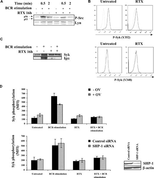 Figure 3. Effect of RTX on BCR-induced Lyn activation. (A) DOHH2 were preincubated with F(ab′)2 RTX (10 μg/mL, 16 hours) and then BCR was stimulated for the indicated times. Lyn activation was evaluated by an anti–phospho-Src antibody (Y416) revealing p53 and p56 Lyn isoforms. This result is representative of 3 independent experiments. (B) DOHH2 were preincubated with F(ab′)2 RTX (10 μg/mL, 16 hours) and stimulated with anti-IgG antibody (10 μg/mL, 5 minutes). Then, Lyn-dependent Syk phosphorylation was evaluated by flow cytometry using phycoerythrin-conjugated phospho-Syk (Y348 or Y352) antibodies. Nonstimulated and stimulated cells are represented by gray and black histograms, respectively, and are representative of 3 independent experiments. (C) Syk/BCR interaction was evaluated using DOHH2 preincubated with F(ab′)2 RTX (10 μg/mL, 16 hours) and stimulated or not with 10 μg/mL of anti-IgG antibody during 1 minute. BCR Igα associated with Syk was revealed by Western blot analysis. (D) SHP-1 was inhibited by 0.1mM sodium orthovanadate (OV) during 1 hour or depleted with SHP-1 siRNA. Then, FL cells were preincubated with RTX (16 hours, 10 μg/mL) and treated with anti-IgG (10 μg/mL, 5 minutes). Results represent Syk phosphorylation (Y525) expressed in MFI and are the mean of 3 independent experiments ± SD. (Inset) SHP-1 expression analyzed by Western blot in FL cell lines transfected by control or SHP-1 siRNA.