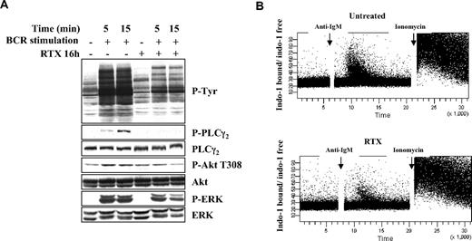 Figure 4. Effect of RTX on BCR-signaling components. (A) DOHH2 cells were preincubated with F(ab′)2 RTX (10 μg/mL, 16 hours) and stimulated with anti-IgG antibody (10 μg/mL, 5 or 15 minutes). Results are representative of 3 independent experiments. (B) Calcium mobilization was analyzed by flow cytometry. RL cells were preincubated with RTX (10 μg/mL, 16 hours), and calcium flux was stimulated by the addition of anti-IgM antibody (10 μg/mL). Ionomycin (2μM) was used as a positive control. Results are represented as ratio of indo-1 bound/indo-1 free and are representative of 3 independent experiments.