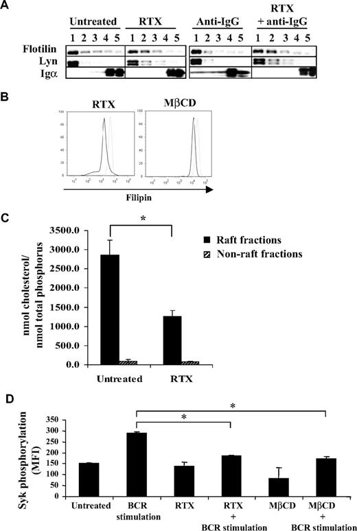 Figure 5. Effect of RTX on BCR translocation and on raft-associated cholesterol content. (A) DOHH2 cells were preincubated with F(ab′)2 RTX (10 μg/mL, 16 hours) and then stimulated with anti-IgG antibody (10 μg/mL, 5 minutes). Results are representative of 3 independent experiments. Vertical lines have been inserted to indicate a repositioned gel lane. (B) Cholesterol staining by filipin in RTX- or MβCD-treated and fixed RL cells (black histograms) compared with untreated and fixed cells (gray histograms). Results are representative of 3 independent experiments. (C) DOHH2 cells were treated with RTX (10 μg/mL, 16 hours), and cholesterol from raft and nonraft fractions was measured as described in “Methods.” Histograms are the mean of 3 independent experiments ± SD. *P < .005 compared with untreated cells. (D) RL cells were preincubated with MβCD (5mM, 30 minutes), and then BCR was stimulated with anti-IgM antibody (10 μg/mL, 5 minutes). Histograms represent Syk phosphorylation (Y525) expressed in MFI and are the mean of 3 independent experiments ± SD. *P < .005 compared with BCR-stimulated cells.