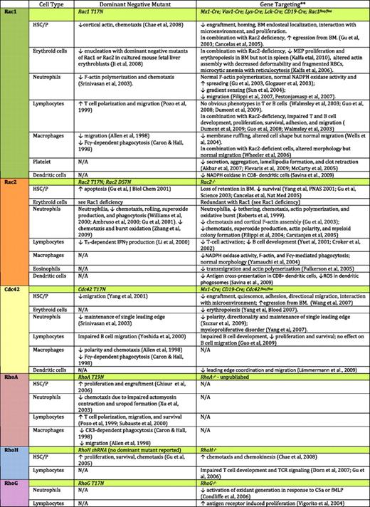 Effects of dominant negative mutant expression or gene targeting of Rho GTPases on hematopoietic cell functions. Please see the following additional references: Akbar et al127; Flevaris et al128; McCarty et al129; Savina et al130; Zhang et al131; Fulkerson et al132; Yoshida et al133; Lämmermann et al134; Xu et al135; Subauste et al136. NA indicates data not available. **Only Rho GTPase gene-targeted mouse models are included.