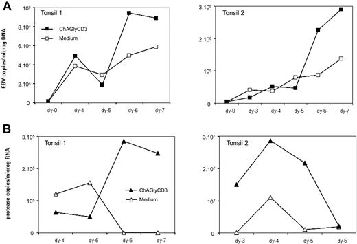 Figure 5. Effect of ChAGlyCD3 antibody on tonsillar B cells in vitro. Whole suspensions of mononuclear cell prepared from tonsillectomies performed in EBV-positive subjects were cultured for 7 days in the presence of ChAGlyCD3 antibody or medium. (A) EBV viral load was quantified by qPCR. Results are expressed as numbers of EBV DNA copies per micrograms of cellular DNA. (B) EBV protease transcripts, induced during the lytic cycle of the virus, were quantified. Results are expressed as numbers of mRNA copies per micrograms of total RNA. Data from 2 representative tonsils are shown.