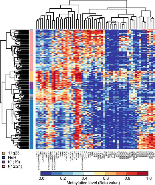Figure 4. Biclustering of ALL patient samples in the 4 main BCP ALL subtypes according to methylation levels of CpG sites defined by repeated cross-validation supervised learning for multivariate classification. Shown is a “heat-map” of the main BCP ALL subtypes by use of the 60 most informative CpG sites in 40 genes defined by the NSC classifier. The CpG sites are shown in the vertical columns and the ALL samples in the horizontal rows. The color code for the BCP ALL subtypes is shown in the bottom left corner of the figure. High methylation levels are shown in red and low methylation levels in blue, according to the scale bar below the figure.