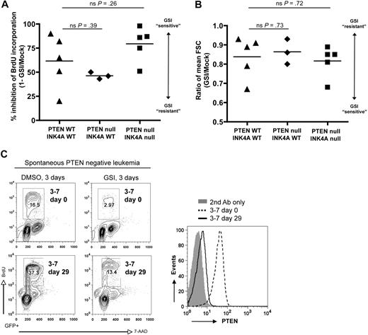 Figure 2. Murine NOTCH1 leukemias lacking Pten remain dependent on Notch signaling and are GSI sensitive. (A) Proliferation and (B) cell size analysis of primary mouse L1601P-ΔPEST leukemias on wild-type (WT) and Pten/Ink4a/Arf-null backgrounds treated with γ-secretase inhibitor (GSI) to block Notch signaling. Freshly explanted primary leukemia cells from different individual mice were cultured in vitro for 3 days with GSI (1μM compound E) or DMSO vehicle, pulsed with BrdU, and assayed by flow cytometry. Proliferation results are summarized from data plots presented in supplemental Figure 4. FSC indicates forward light scatter; ns, nonsignificant (Student t test). (C) Spontaneous loss of Pten protein expression occurred in one case (mouse nos. 3-7 as in Figure 1B) after 29 days of culture in vitro, yet it remained GSI sensitive. Pten protein expression was assessed by flow cytometry (right panel), and GSI response assayed by BrdU incorporation (left panel). Pten mRNA was detected by RT-PCR at both day 0 and day 29, and sequencing revealed no loss-of-function mutations (data not shown). Please note, only gated GFP+ events are depicted.