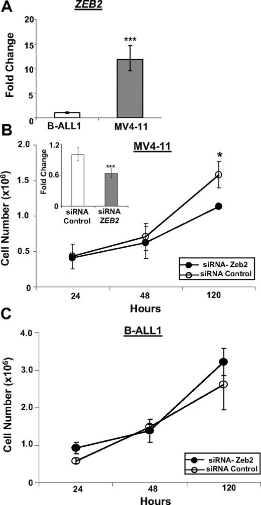 Figure 5. Inhibition of ZEB2 leads to decreased proliferation of MV4-11 cells. (A) Expression of ZEB2 mRNA in MV4-11 and B-ALL1 cell lines. (B) Inhibition of ZEB2 mRNA expression in MV4-11 cell line by siRNA leads to decreased proliferation. (Inset) ZEB2 quantitative RT-PCR assay at 24 hours. (C) Treatment of B-ALL1 cell line with ZEB2 siRNA does not lead to decreased proliferation. Quantitative RT-PCR values are plotted as minimum/maximum values from triplicate assays. *P < .03. ***P < .001. Error bars for 120-hour Zeb2 siRNA time point are very small and not visible.