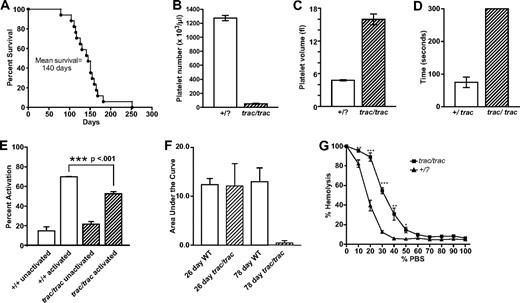 Figure 1. Quantitative abnormalities of A/J-trac/trac mice. (A) Survival data showing the short life span of A/J-trac/trac mice. There was no significant difference in life span of males and females (n = 18). (B-C) Platelet numbers and platelet volumes in A/J-trac/trac and +/? sex-matched littermate mice. Each bar represents the mean and SE from 4 to 9 mice analyzed at 10 to 17 weeks of age. (B) Platelet numbers showing severely reduced counts in A/J-trac/trac mice. (C) Platelet volumes showing markedly increased volumes in A/J-trac/trac mice. (D) Bleeding times were prolonged in A/J-trac/trac mice; n = 5 pairs of 6- to 12-week-old A/J-trac/trac and control mice. (E) Platelet activation was impaired in A/J-trac/trac mice at 3 to 4 weeks of age (n = 4). (F) In 3-week-old A/J-trac/trac mice, platelet aggregation was not significantly different from controls, but by 11 weeks of age they had greatly reduced platelet aggregation performance as measured by the whole blood impedance method. Data show area under the curve using the whole blood impedance method. (G) RBC fragility graph showing increased fragility of A/J-trac/trac RBCs (*P < .05; **P < .01; ***P < .001).