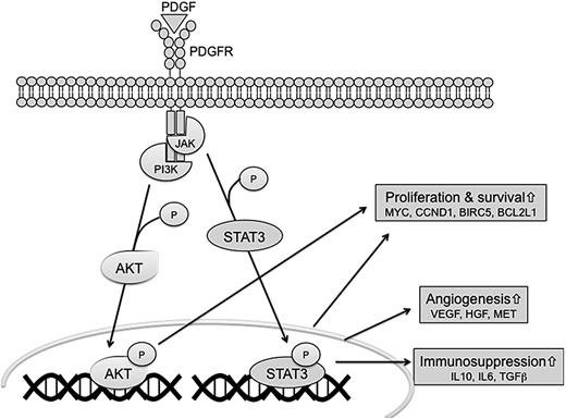 Figure 7. Hypothetical representation of signaling pathways involved in NKTCL. The interactions of PDGF, AKT, and JAK-STAT signaling pathways may contribute to the angiogenesis, immunosuppression, proliferation, and survival of NKTCL.