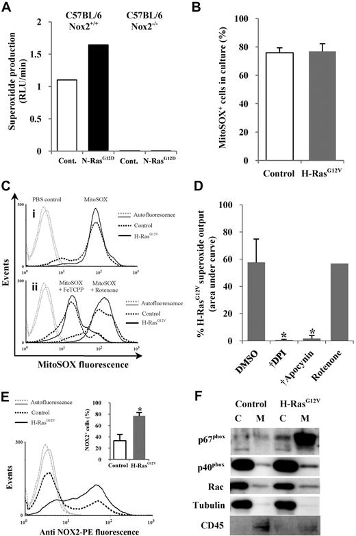 Figure 2. Mutant Ras promotes ROS production via activation of NOX family oxidases. (A) Superoxide production by N-RasG12D–transduced murine Sca-1+ cells from either wild-type (Nox2+/+) or Nox2-deficient (Nox2−/−) mice was measured using Diogenes. Bar chart represents total superoxide produced during assay. (B) Mitochondrial superoxide was measured using MitoSOX. Figure depicts percentage of control or H-RasG12V cells positive for MitoSOX fluorescence after labeling. A PBS control was used to define positive threshold. (C) Representative histograms depict MitoSOX fluorescence in control and H-RasG12V cells labeled with MitoSOX (i) alone or (ii) in the presence of 5μM FeTCPP or 50μM rotenone. (D) Using Diogenes, superoxide production by CD34+ H-RasG12V cells was measured in the presence of 50μM DPI, 50μM apocynin, or 5μM rotenone (n = 3). Bar chart represents total superoxide produced. (E) Transduced CD34+ cells were incubated with anti–NOX2-PE and analyzed by flow cytometry. Typical histogram showing anti–NOX2-PE expression; bar chart (inset) indicates percentage of fluorescent cells after incubation with anti–NOX2-PE. Isotype control antibody was used to define positive threshold (n = 5). (F) Cytosol/membrane fractionated lysates were analyzed by Western blot using antibodies recognizing p67phox, p40phox, or Rac. Tubulin acted as a loading control and cytosolic marker. CD45 was used a membrane marker. C indicates cytosol; and M, membrane. Data represent mean + 1 SD. Statistical significance was calculated by ANOVA using Tukey honestly significant differences or Mann-Whitney test. †P < .001; *P < .05.