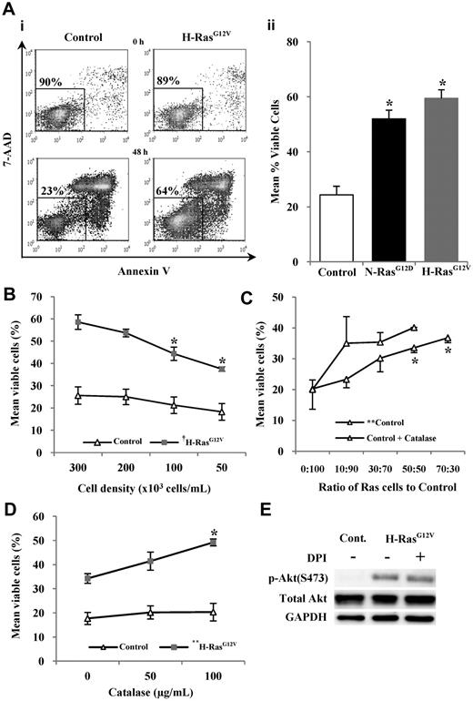 Figure 3. Survival of human CD34+ hematopoietic cells expressing mutant Ras. CD34+ cells expressing mutant Ras or GFP control were incubated in serum-free, growth factor–free medium for 48 hours and stained with annexin V and 7-AAD. Annexin V− and 7-AAD− cells were defined as viable. (Ai) Typical flow cytometric plots obtained at start of incubation and after 48-hour incubation with percentage of viable cells indicated. (Aii) Bar chart representing survival averaged over 3 experiments. (B) Viability of CD34+ cells expressing H-RasG12V or GFP control while decreasing cell-culture density. (C) Normal (control) CD34+ cells were cocultured with an increasing proportion of CD34+ H-RasG12V cells coexpressing DsRed, enabling analysis of CD34+ control cell viability in mixed culture by flow cytometry. Some experiments were carried out in the presence of catalase. (D) CD34+ cells expressing mutant Ras or GFP were cultured at a cell density of 5 × 104 cells/mL in the presence of purified catalase. (E) Whole-cell lysates were analyzed by Western blot, using antibodies recognizing phospho-Akt (S473) or total Akt protein. GAPDH was used as a loading control. Data represent mean ± 1 SD (n = 3). Statistical significance was calculated by ANOVA using Tukey honestly significant differences or Mann-Whitney test. †P < .001; *P < .05; **P < .01.