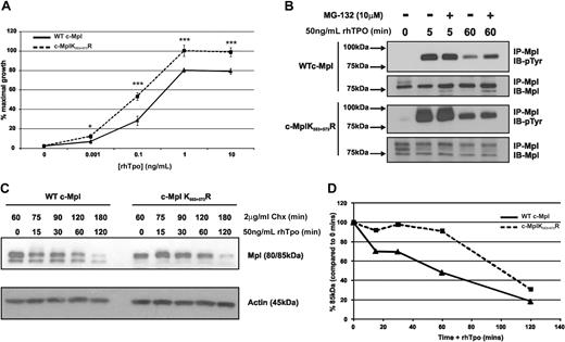 Figure 4. c-MplK553+573R exhibits altered Tpo-induced proliferation and degradation. (A) MTT proliferation assay using BaF cells expressing WT c-Mpl or c-Mpl553+573R. Cells were treated with rhTpo at increasing concentrations for up to 48 hours. The data represent the mean (± SE) of 3 individual experiments using 2 stably expressing clones for each group (*P < .05, ***P < .001). (B) Western blot analysis of Tpo-induced c-Mpl phosphorylation with and without MG-132. The data are representative of 3 individual experiments. (C) Western blot analysis of Tpo-induced c-Mpl degradation of WT c-Mpl and c-MplK553+573R. Cells were pretreated with Chx for 60 minutes before Tpo stimulation for up to 120 minutes. (D) Graphic representation of c-Mpl degradation, comparing mature (85-kDa) c-Mpl at time 0 using densitometry.