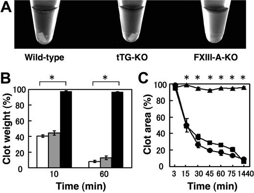 Figure 1. Impaired CR in FXIII-A-KO mice but normal CR in tTG KO mice. (A) Photograph of CR in wild-type mice (left), tTG KO mice (middle), FXIII-A KO mice (right). PRP was incubated with 1 U/mL thrombin, 5mM CaCl2 at 37°C. The photograph was taken after 1 hour. (B) Quantitative analysis of CR by a weight ratio method. The extent of CR was assessed at 10 and 60 minutes by measuring the clot weight, for wild-type (open), tTG KO (shaded), or FXIII-A KO (filled) mice. Data are mean ± SD of triplicates. (C) Time-dependent CR measured by an area ratio method. The extent of CR was assessed at the indicated times by measuring the clot size, for wild-type (●), tTG KO (■), or FXIII-A KO (▴) mice. Data are mean ± SD of triplicates. *Statistically significant differences (P < .001) were observed at 10 and 60 minutes in panel B and at 15, 30, 45, 60, 75, and 1440 minutes in panel C between FXIII-A-KO versus wild-type mice.