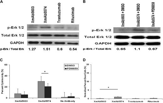 Figure 5. XmAb5574 stimulation of NK cells results in up-regulation of Erk1/2 phosphorylation. (A) Up-regulation of Erk1/2 phosphorylation in NK cells after stimulation by fixed XmAb5574 was detected by Western blot and compared with XmAb5603 and no antibody. Six-well flat-bottom plates were coated with 10 to 20 μg/mL of respective antibody and then plated with freshly isolated NK cells at 5 × 106 cells/well. NK cells were harvested after 10-minute incubation and immediately subjected to lysis and protein extraction. (B) Specific MEK kinase inhibitor PD98059 (100μM) added to NK cells 30 minutes before their incubation with fixed XmAb5603 and XmAb5574 abrogates the enhancement of Erk1/2 phosphorylation by XmAb5574. Blots shown are representative of 3 individual experiments. Numbers denote densitometric ratios of p-Erk1/2 to total Erk1/2. (C) Ability of XmAb5574 to mediate ADCC against CLL cells through healthy donor NK cells was diminished but not significantly in the presence of media or PD98059 at 100μM (10.65% decrease with PD98059; 95% CI, 0.09-21.39; *P = .15; n = 27; compared with DMSO at E/T of 25:1). (D) Fixed XmAb5574 mediates minimal direct cytotoxicity against NK cells at 4 hours as shown by percentage of dead cells. Fixed antibody–mediated NK-cell cytotoxicity was determined by characterization of CD56+ and 7-AAD+ cells by FACS analysis on freshly isolated NK cells after 4-hour stimulation by 20 μg/mL of respective antibody coated on a 96-well flat-bottom plate. XmAb5574 did not mediate significantly higher NK-cell cytotoxicity than XmAb5603 (1% higher; 95% CI, −1.7% to 3.6%; *P = .4456), trastuzumab (1% higher; 95% CI, −1.7% to 3.6%; P = .446), or rituximab (0.8% higher; 95% CI, −1.8% to 3.5%; P = .518; n = 4). Percentage of dead cells was calculated as the number of 7-AAD+ cells in the CD56+ cell population, and all values were normalized to media control. Error bars represent SEMs.